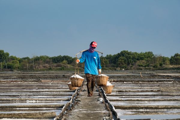 A man harvesting salt on a salt farm. thumbnail