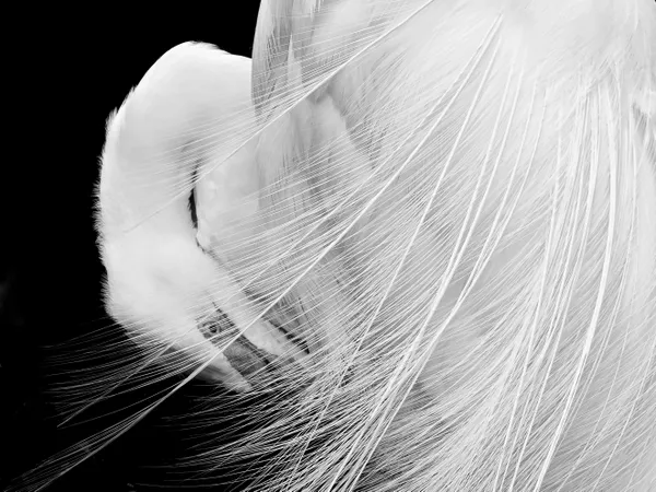 Bridal Veil thumbnail