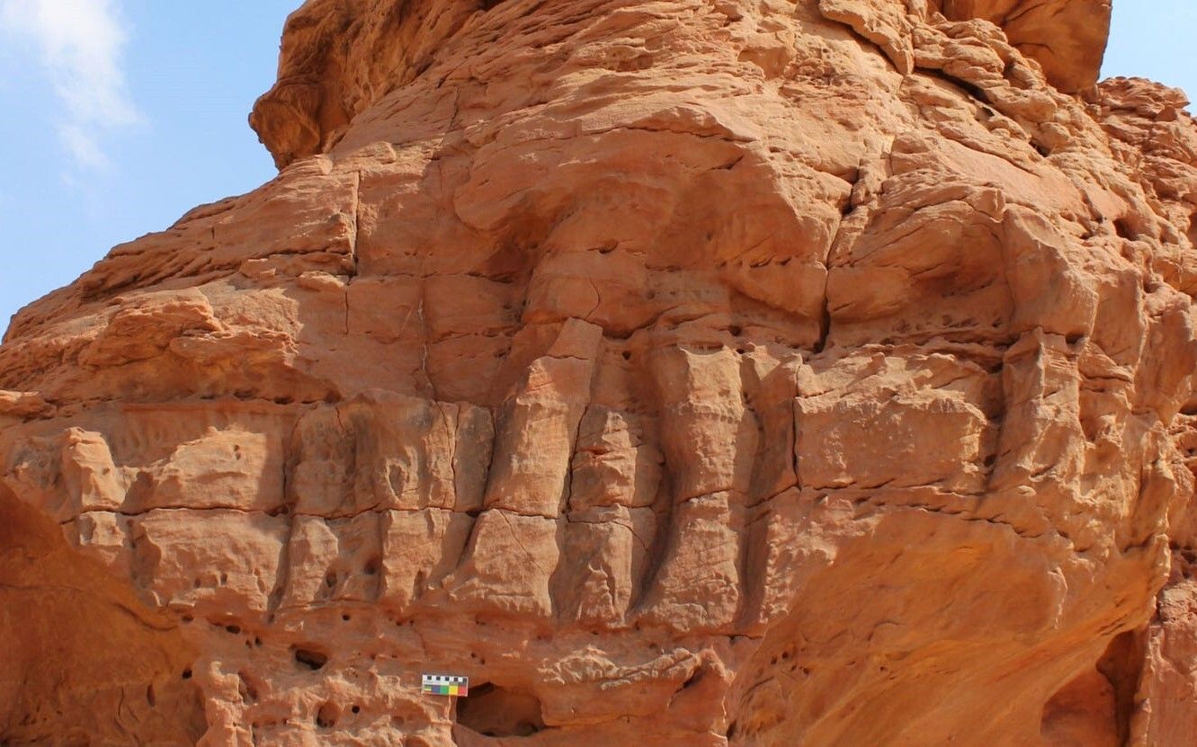 Saudi Arabia's Camel Site Predates Stonehenge | Smart News| Smithsonian  Magazine