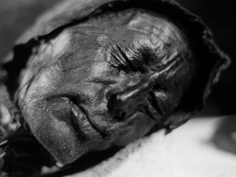 Tollund Man's face