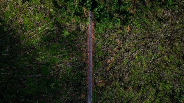 Scar of the Tornado thumbnail