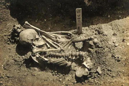 Though researchers recovered most of the person's remains,  experts were unable to find some portions of his skeleton.