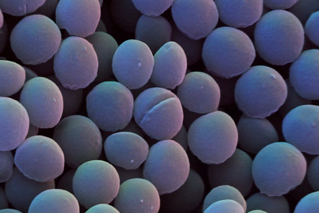 MRSA