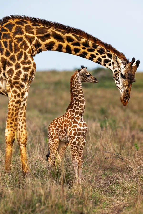 Is everything okay, li'l one? thumbnail