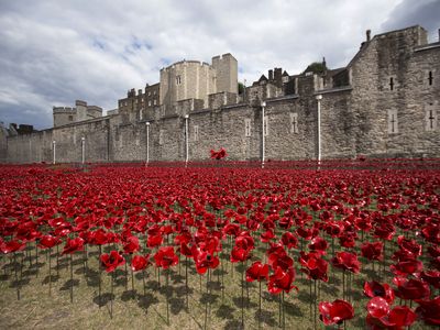 The art installation "Blood Swept Lands and Seas of Red" marking the anniversary of the World War One is seen at the Tower of London July 28, 2014.