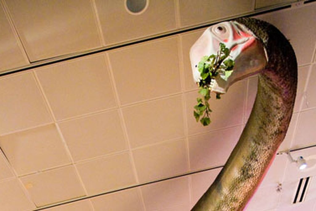 The Mamenchisaurus centerpiece in the "World's Largest Dinosaurs" exhibit.