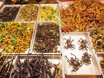 Fried insects, anyone?