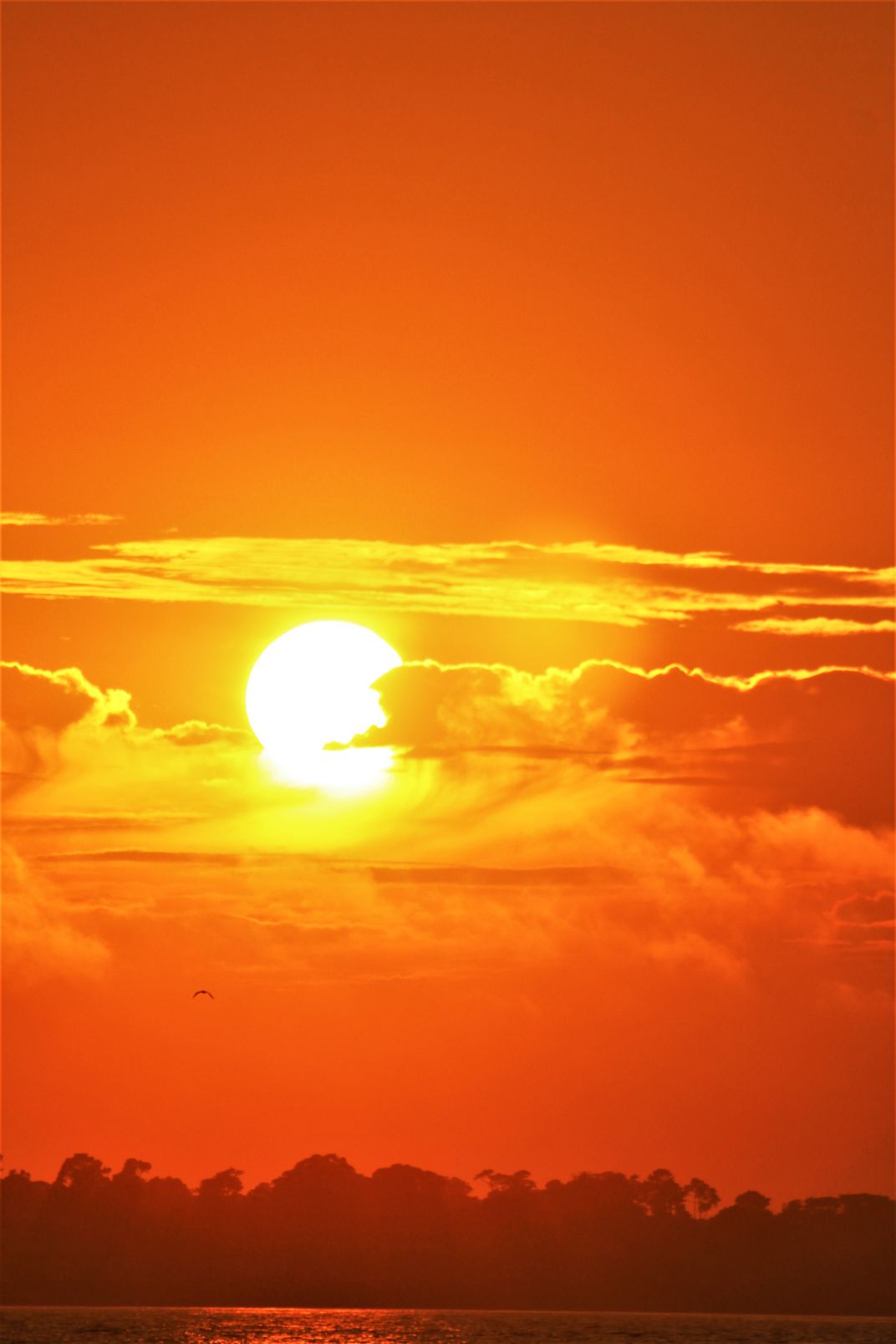 Brilliant Orange Sunset | Smithsonian Photo Contest | Smithsonian Magazine