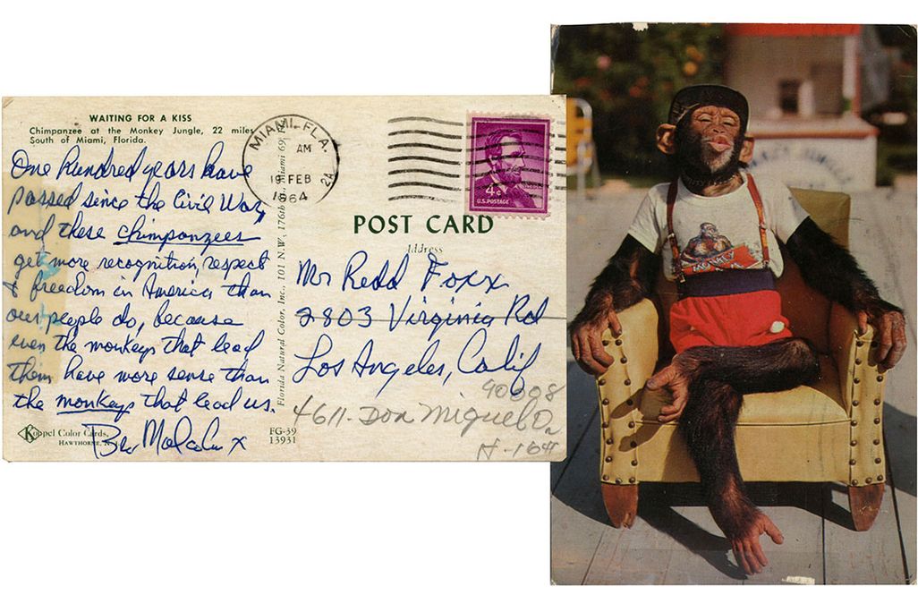 Malcolm X Postcard