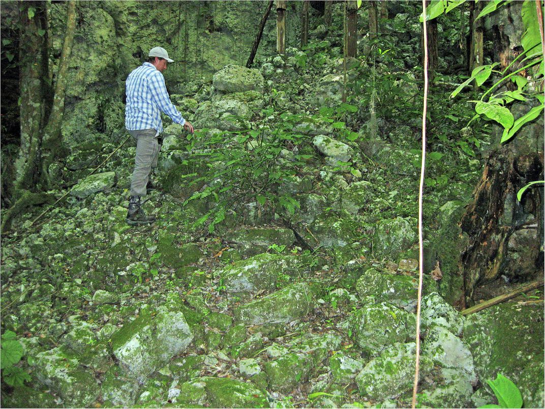 man in baseball cap standing on top of moss-covered giant tree root in jungle