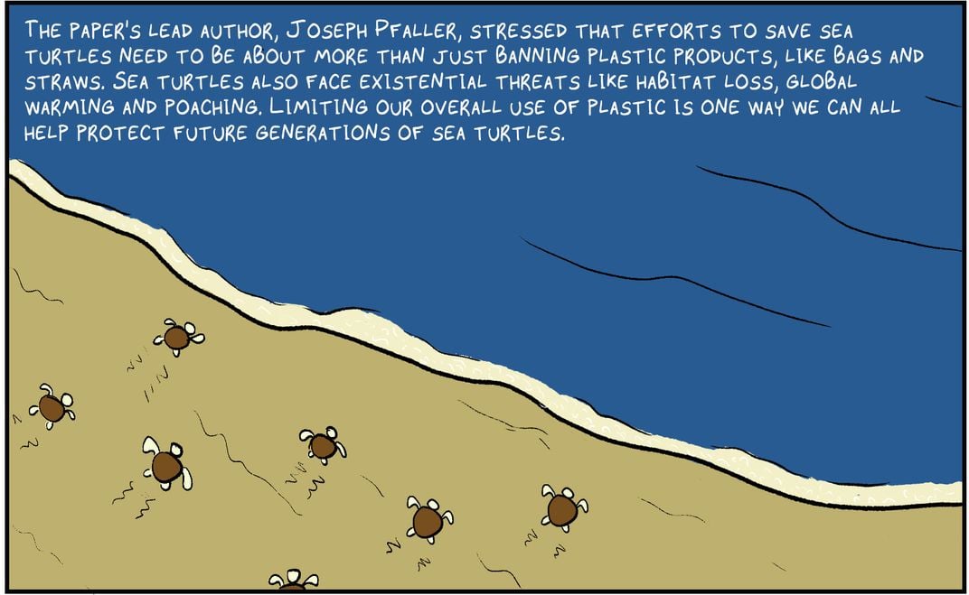 P7: “Efforts to save sea turtles are more than just banning plastic products, like bags and straws. Limiting our overall use of plastic is one way we can all help protect future generations of sea turtles.”