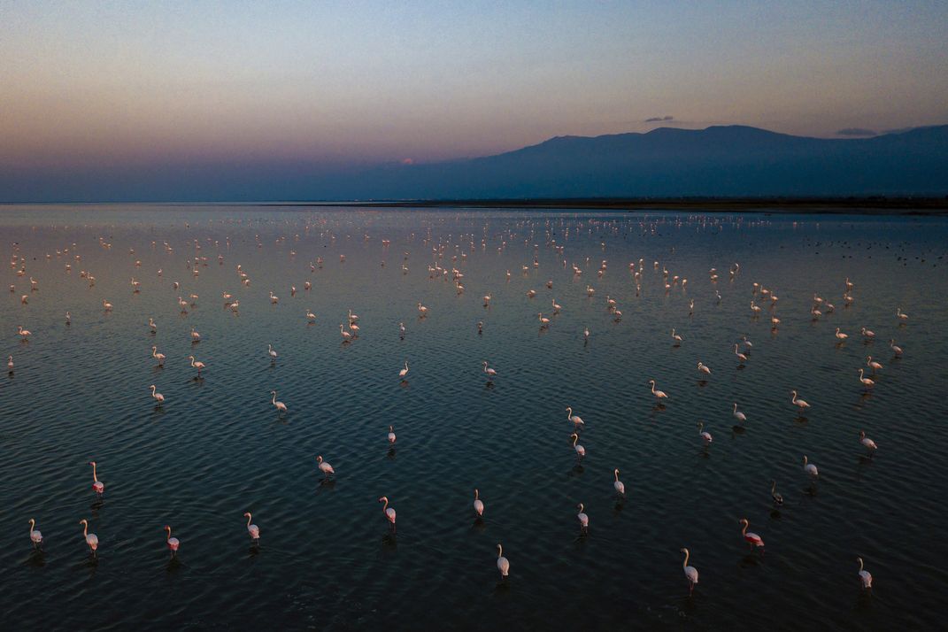 6 - Flamingos spread out within the waters of peaceful and scenic Miankaleh Lagoon for as far as the eye can see.