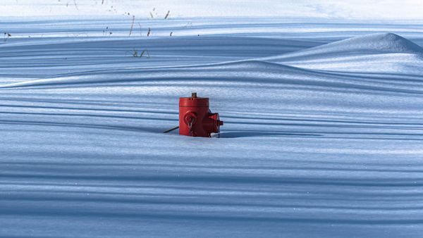 Winter Stipes and Red Hydrant thumbnail