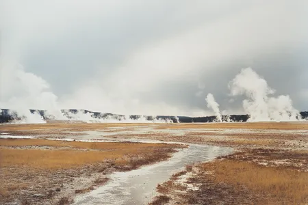 Untitled, Distant Steam Vents; Yellowstone National Park, 2008
