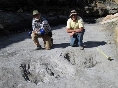 University of Colorado Denver researcher Martin Lockley (right) and Ken Cart pose beside large a dinosaur scrape they discovered in Western Colorado.