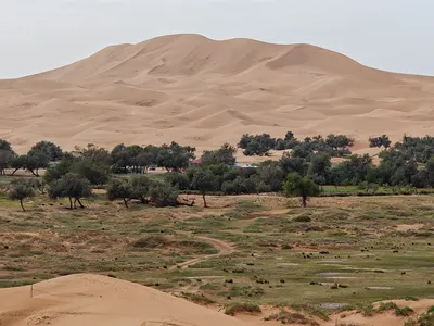 Warming spurred by Earth&#39;s next supercontinent could lead to widespread desert conditions, a new modeling study suggests. Pictured is the Tengger Desert in Inner Mongolia, an autonomous region of China.