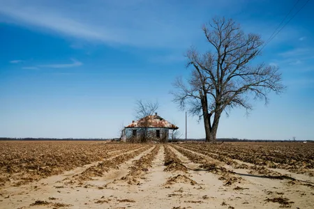 A dry farm field.