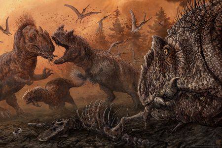 Artist impression of Allosaurus