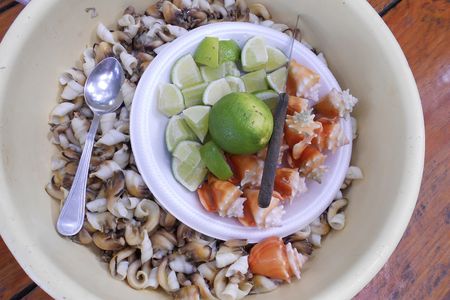 Fighting conch with lime as prepared in Bocas del Toro, Panama. (Felix Rodriguez, STRI)