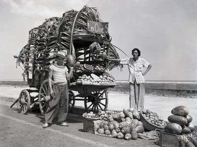 Cuban Fruit peddlers stopped along Malecon Sea drive in Havana, to peddle their wares: Mangos, melons, and pineapples. March 30, 1949,