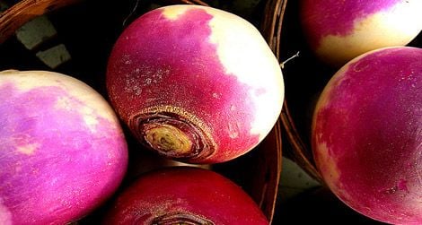 What was the secret to Grandma's turnips?