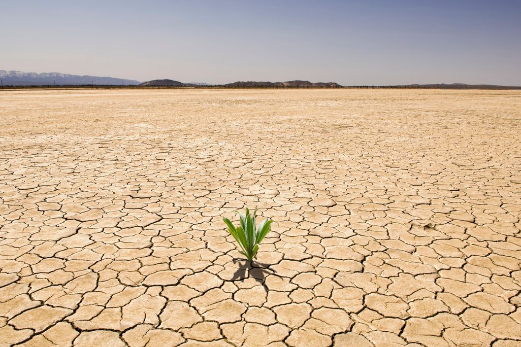 Drought