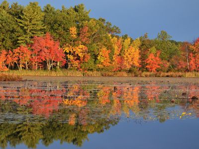 Dry conditions have dulled fall's gorgeous New England show.