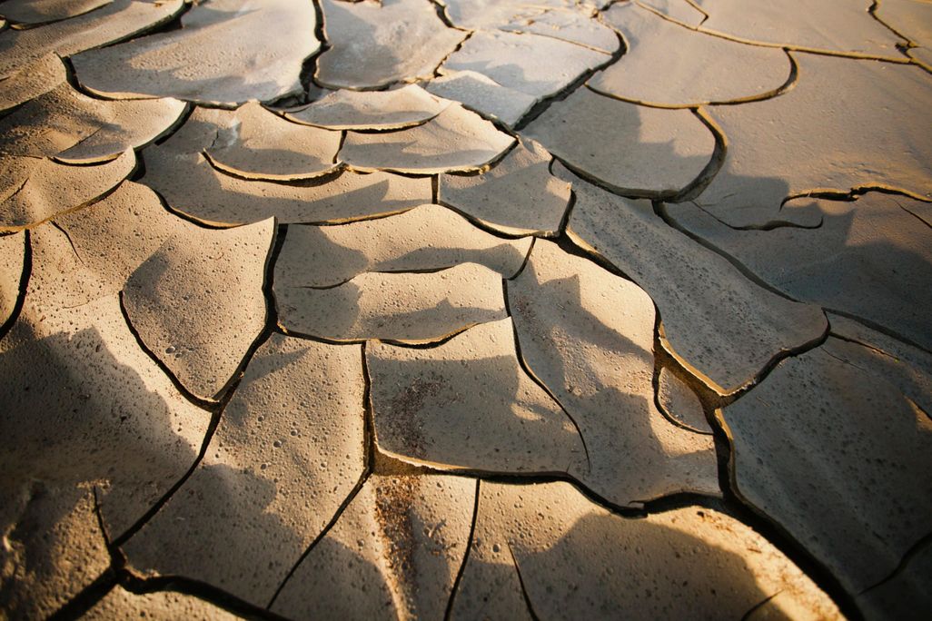 Cracked Earth