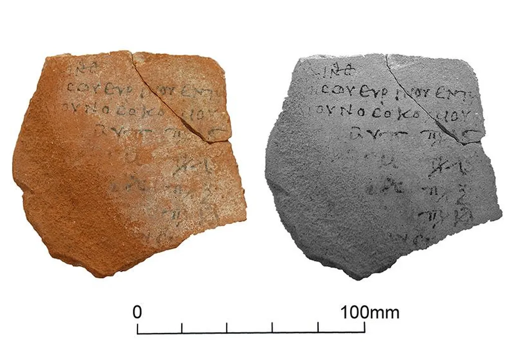 Photograph of an ostracon mentioning the renovation of the nosokomeion (hospital)
