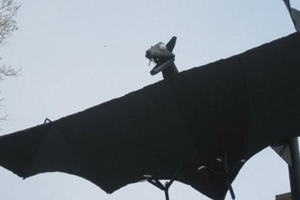The Bat in Belfry