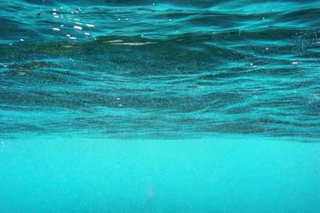 Advanced life on an ocean world would be very different, but maybe not impossible.