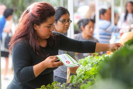 A FVRx participant picks out produce at LA's Central Avenue Farmer's Market.