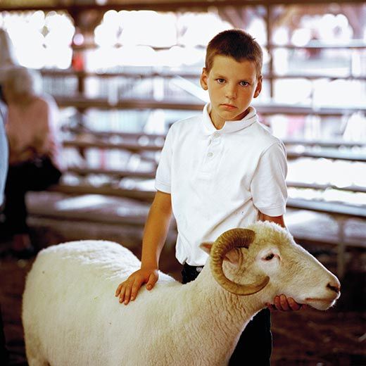 Delaware County Fair 2001