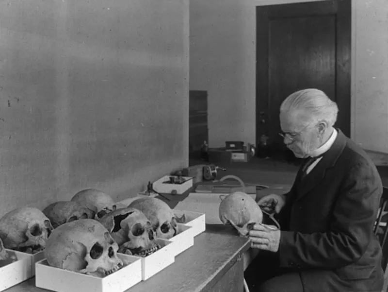 Measuring Human Skulls in Physical Anthropology