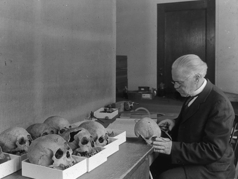 Measuring Human Skulls in Physical Anthropology