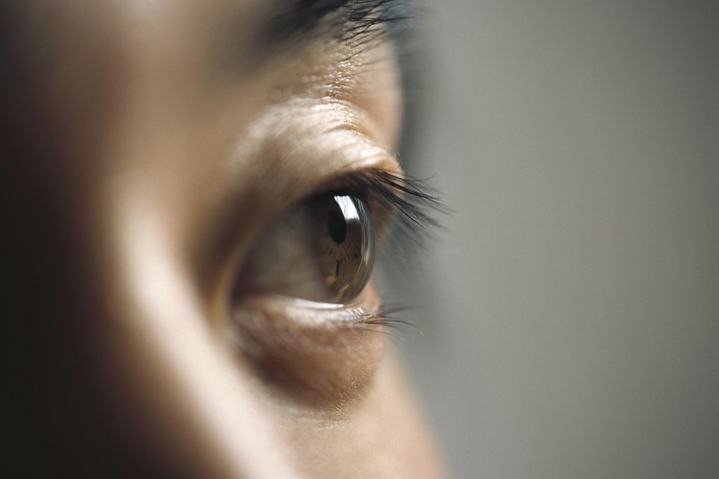 A close up of a person's eye, with their nose and eyebrow visible