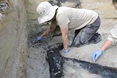 The excavation team uncovering the wooden structure. It was unearthed along the Kalambo River in Zambia at a site called Kalambo Falls.