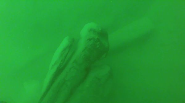 Preview thumbnail for Discovery of the Lake Serpent in Lake Erie