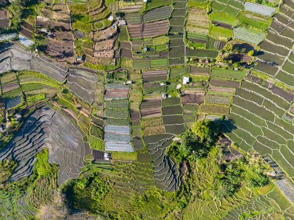 Waturaka village terraces thumbnail