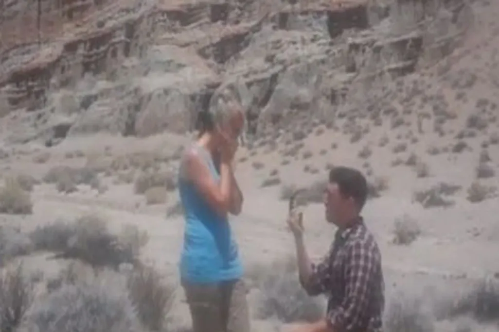 marriage-proposal-jurassic-park.jpg