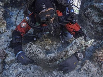 The star of this dive was the discovery of a bronze arm, mottled from centuries underwater.