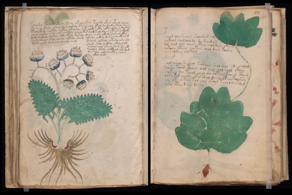 pages