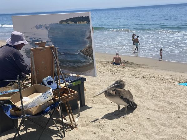 The pelican, the painter, and the people at Malibu beach thumbnail