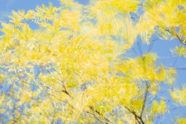 Wind a Color 2 thumbnail