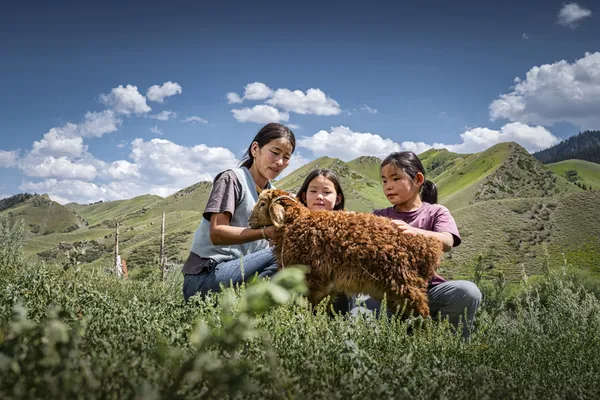 Affection in the pastoral song thumbnail