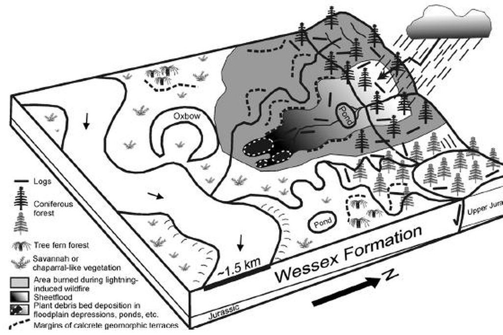 20110520083236debris-flow-diagram.jpg