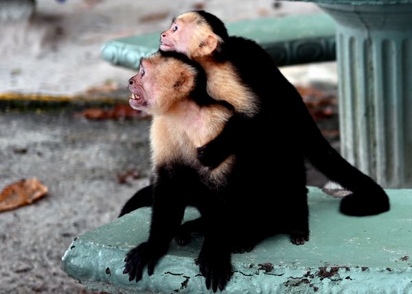 We love tourists! thumbnail