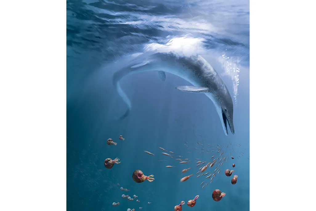 An illustration of C. youngorum swimming. It has a snake-like body, a whale-like torso and a pointed snout. Ammonites swim away from it.