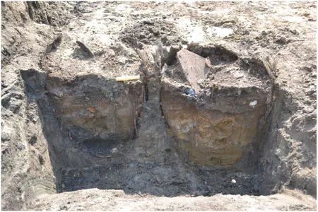 Archaeologists discovered evidence of an array of foods, including herring, eel, cod, apples, raspberries, cherries and rye bread