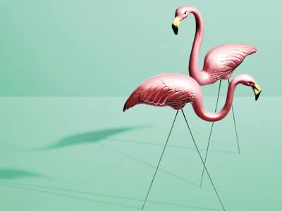 Plastic Flamingos